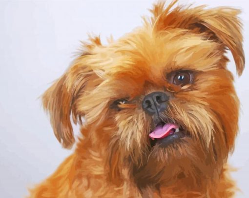 Cute Brussels Griffon Paint By Number