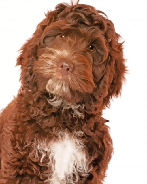 Cute Chocolate Cockapoo Paint By Number