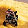 Desert Quad Bike Paint By Number