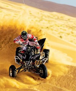 Desert Quad Bike Paint By Number