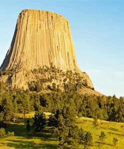 Devil Tower National Monument Paint By Number