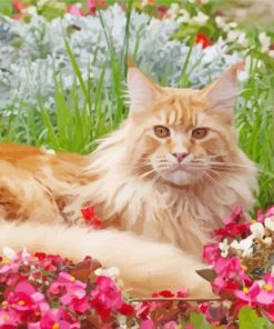 Flowers And Cat Art Paint By Number