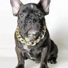 French Bulldog With Collar Paint By Number