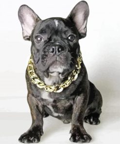 French Bulldog With Collar Paint By Number