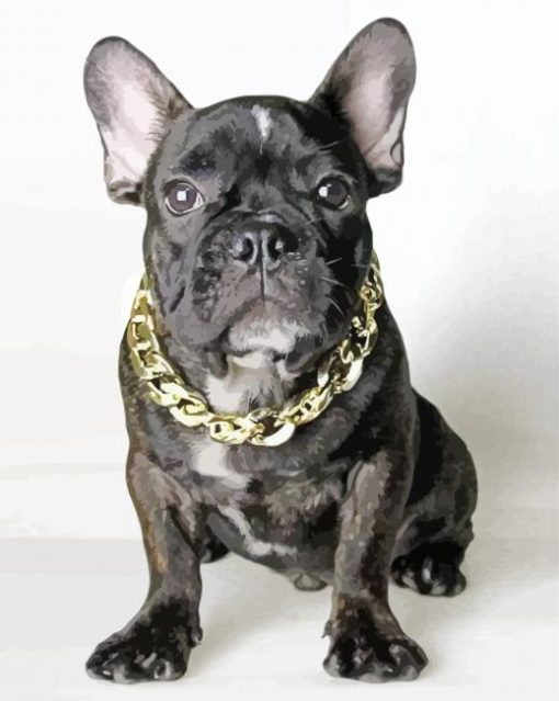 French Bulldog With Collar Paint By Number