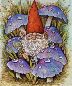 Gnome And Mushroom Paint By Number