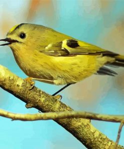 Goldcrest Art Paint By Number