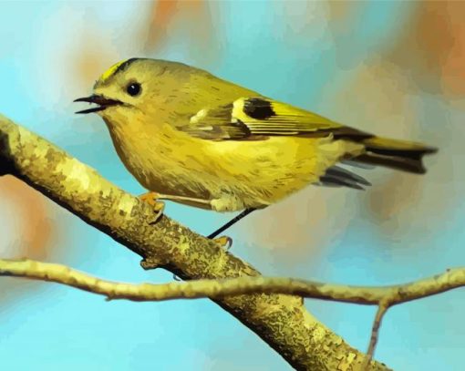 Goldcrest Art Paint By Number