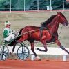 Harness Racing Art Paint By Number