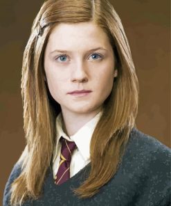 Harry Potter Ginny Weasley Paint By Number