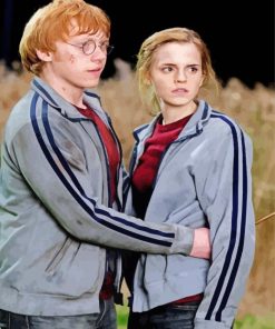 Hermione And Ron Harry Potter Characters Paint By Number