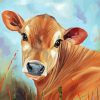 Jersey Cow Art Paint By Number