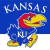 Kansas Jayhawks Logo Paint By Number