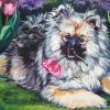 Keeshond Dog Paint By Number