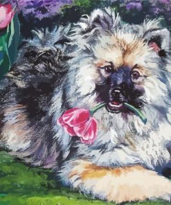 Keeshond Dog Paint By Number