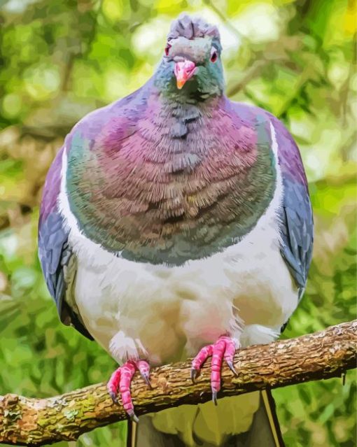 Kereru Bird Paint By Number