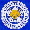 Leicester City Football Club Paint By Number