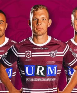 Manly NRL Paint By Number