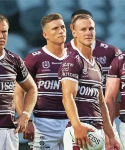 Manly NRL Team Paint By Number