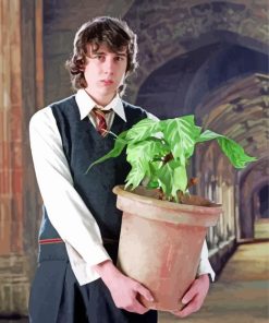 Neville Longbottom Harry Potter Paint By Number