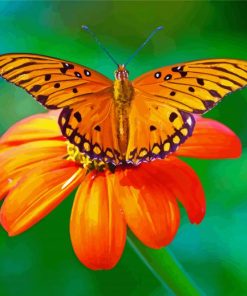 Orange Flower With Butterfly Paint By Number