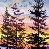 Oregon Trees At Sunset Paint By Number