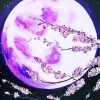 Pink Moon Sakura Paint By Number