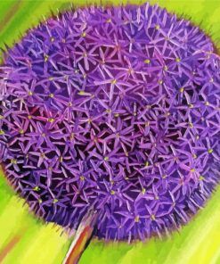 Purple Allium Paint By Number