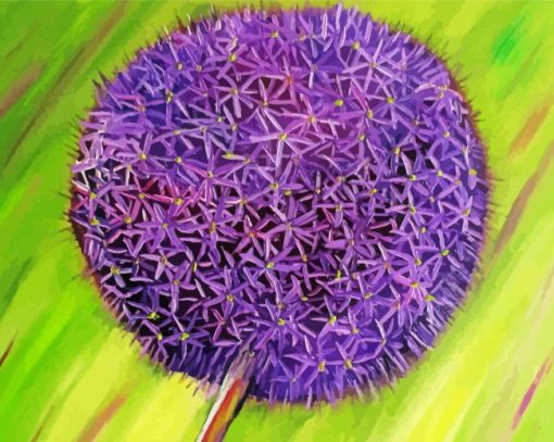 Purple Allium Paint By Number