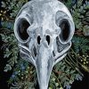 Raven Skull And Flowers Paint By Number