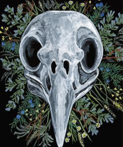 Raven Skull And Flowers Paint By Number