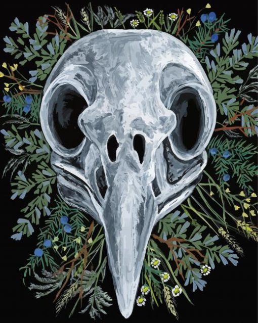 Raven Skull And Flowers Paint By Number