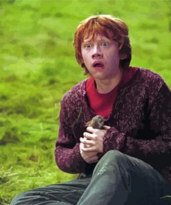 Ron Weasley From Harry Potter Paint By Number