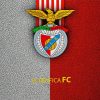 SL Benfica Logo Paint By Number