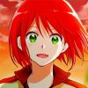 Shirayuki Anime Girl Paint By Number