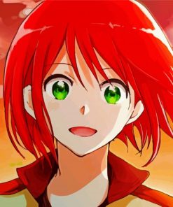 Shirayuki Anime Girl Paint By Number