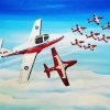 Snowbirds In Flight Paint By Number