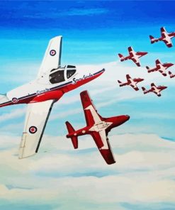 Snowbirds In Flight Paint By Number