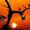 Sunset Tree With Birds Animals Paint By Number