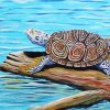 Terrapin Turtle Art Paint By Number