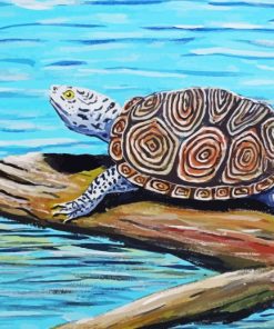 Terrapin Turtle Art Paint By Number