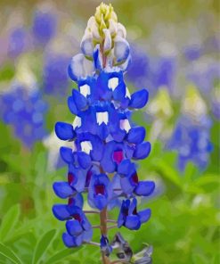 Texas Bluebonnets Flower Paint By Number