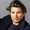 The Actor Josh Hartnett Paint By Number