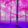 The Pink Forest Paint By Number