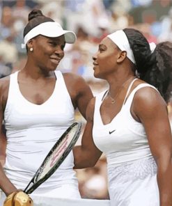 The Williams Sisters Paint By Number