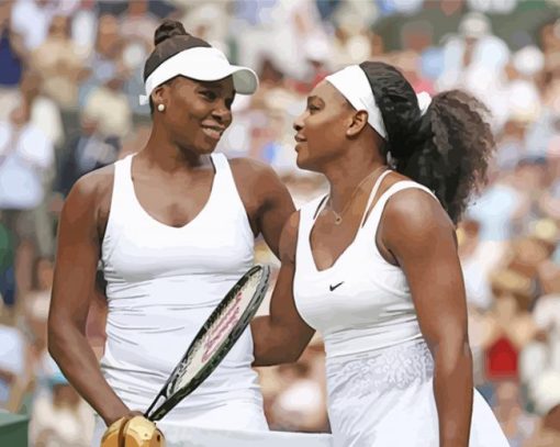 The Williams Sisters Paint By Number