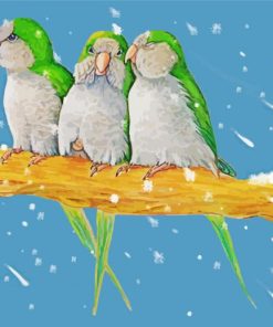 Three Quaker Parrots Paint By Number