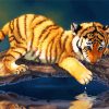 Tiger Cub Paint By Number