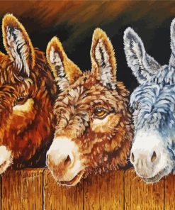 Trio Donkeys Animals Paint By Number