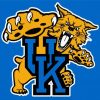 University Of Kentucky Basketball Logo Paint By Number